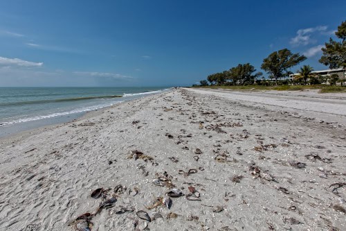 Sanibel Beach