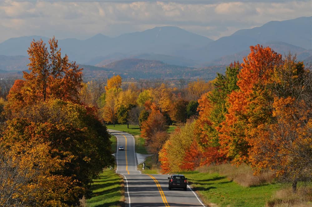 Vermont Foliage