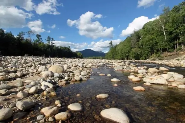 Upper Valley NH nature